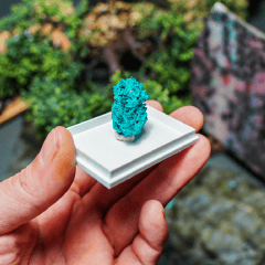 Fenrir Stone | A Valódi Ásványok Otthona
