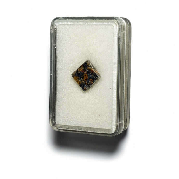 Oroszországi Seymchan Pallazit vasmeteorit