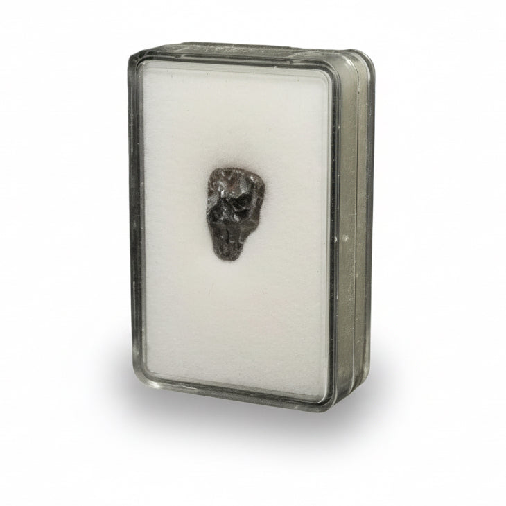 Marokkói Agoudal IIAB vasmeteorit