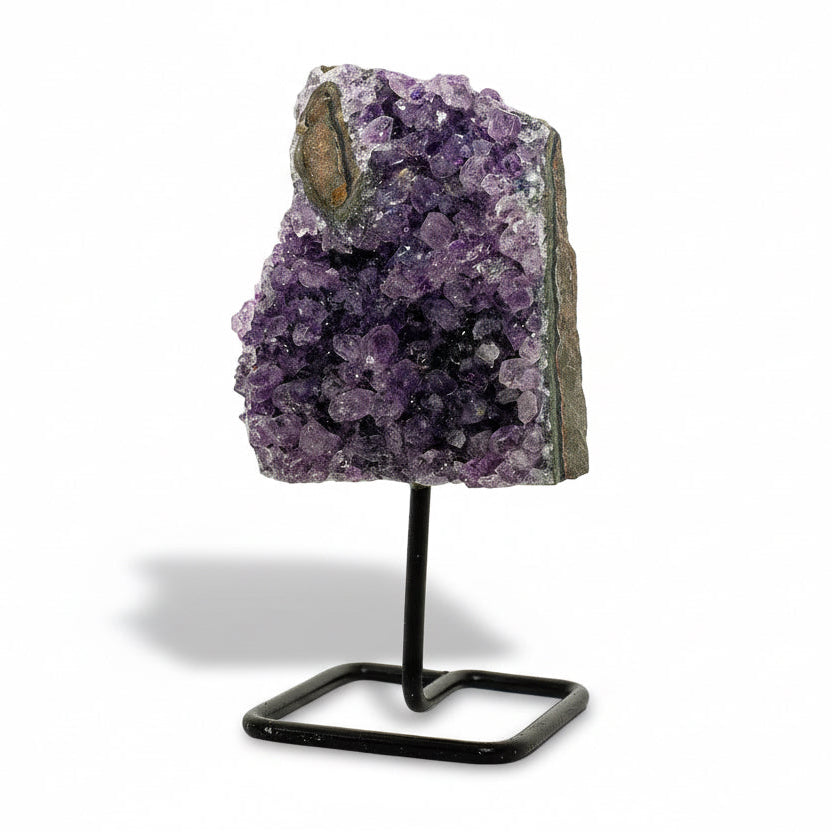 Kis Brazíliai Ametiszt telep állványon 2