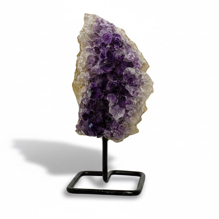 Kis Brazíliai Ametiszt telep állványon