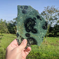 Madagaszkári Sztromatolit szelet