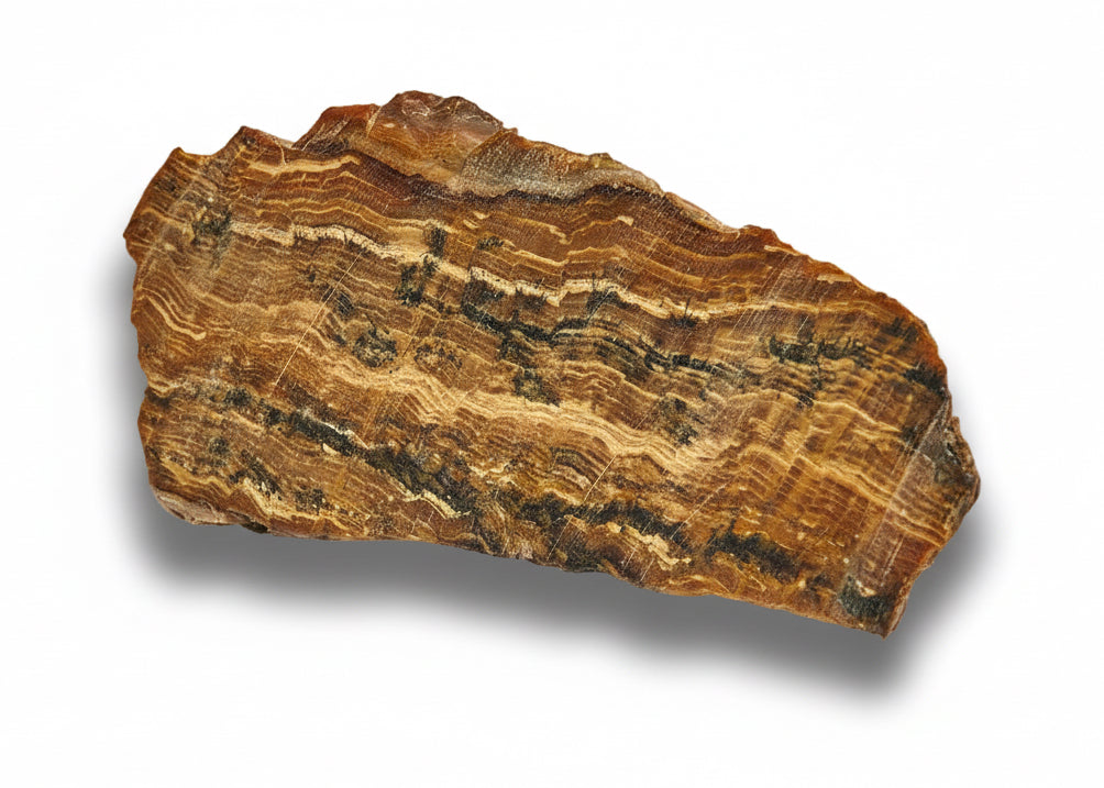 Romániai szalagos, Dendrites Aragonit szelet dísztárgy