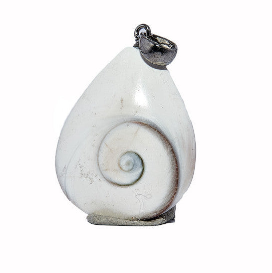 Madagaszkári Shiva szeme / Operculum csepp medál II