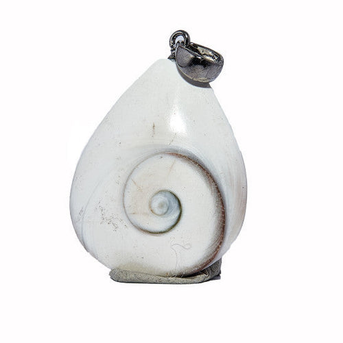 Madagaszkári Shiva szeme / Operculum csepp medál II