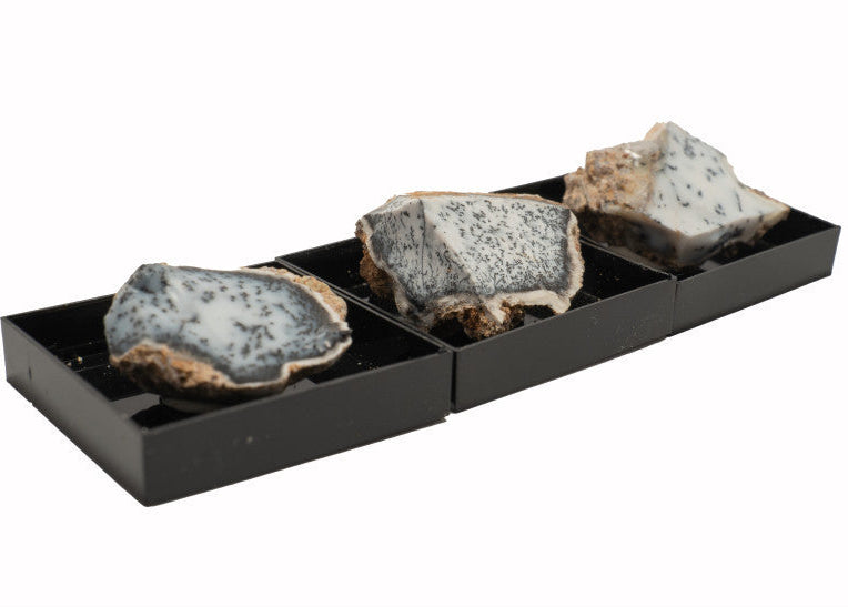 Törökországi Merlinit dobozban