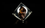 Brazíliai Szuper hetes szelet Citrinnel IV