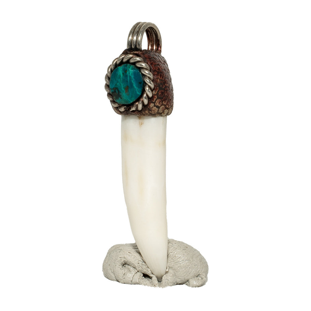 Madagaszkári Krokodil fog medál Krizokollával valódi bőrszálon