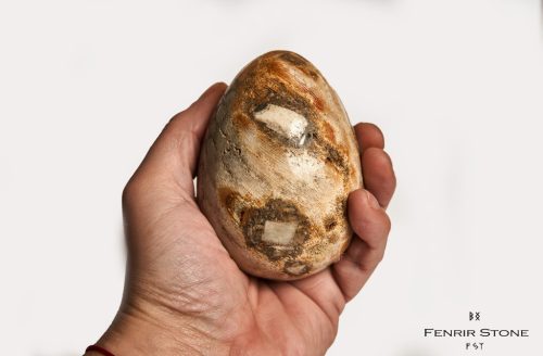 Madagaszkári fosszilis Korall "óriás" tojás, Korall és Orthoceras tartóval-fosszilia-korall-orthoceras-mg